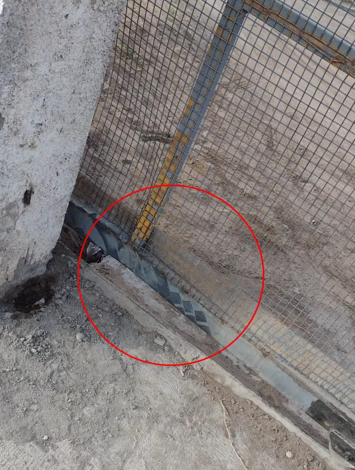 fbdbd80a-f3cb-403d-b25e-1a359c728b05