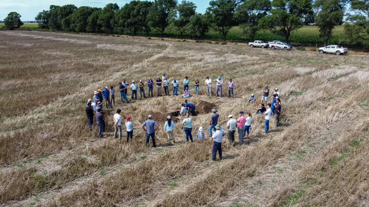 514617_whatsapp-image-2022-03-10-at-12.11.13-pm