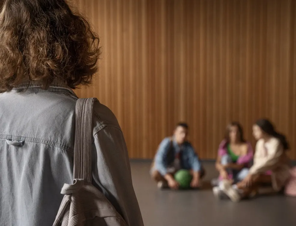 bullying violencia escolar (FILEminimizer)