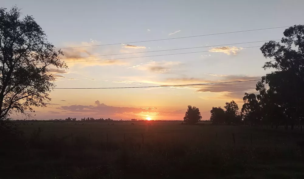 atardecer realicó (FILEminimizer)