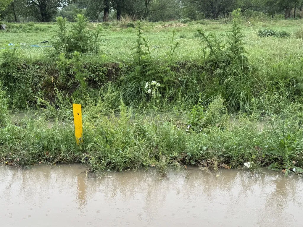 IMG_8394 (FILEminimizer)