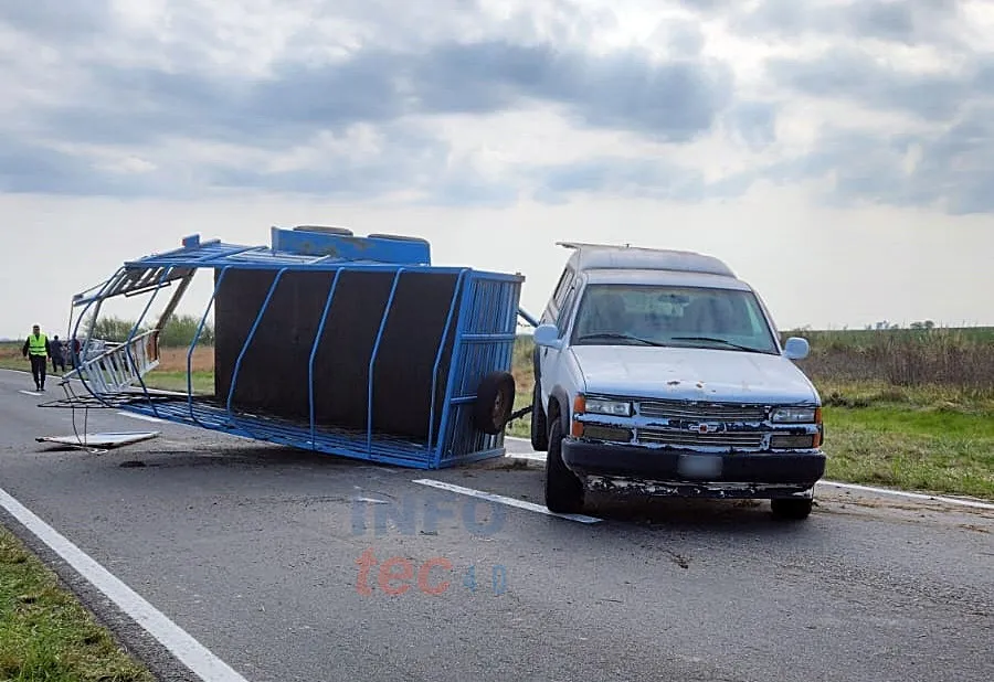 VUECLO CAMIONETA CON 3 TOROS 4 info