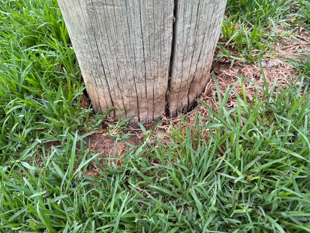 636e6f15-4e77-49fe-861a-4b0edac7b653