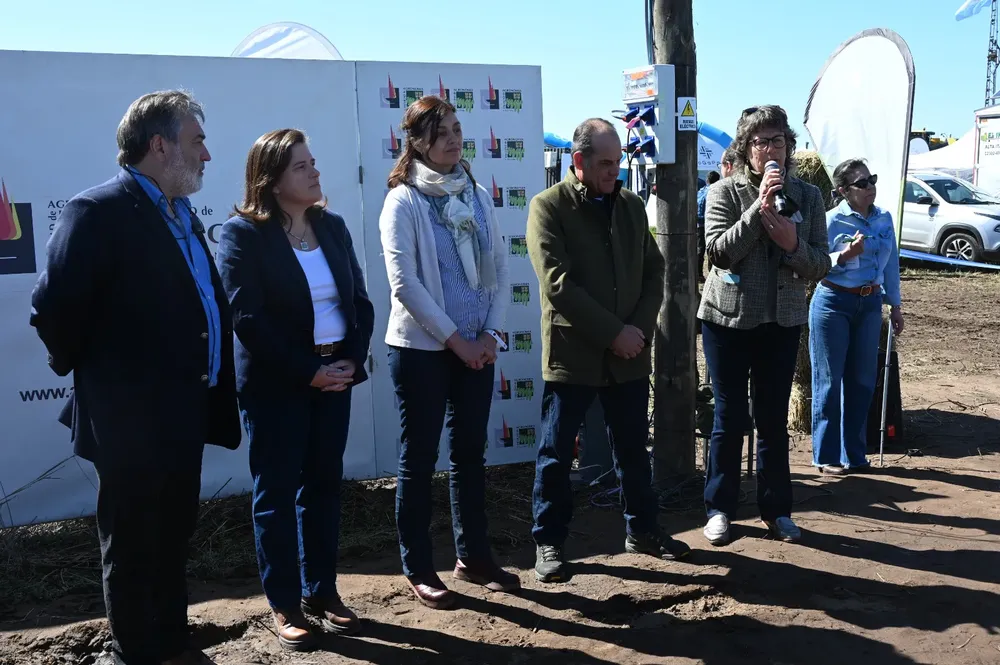 455984_whatsapp-image-2023-10-04-at-16.59.01--2-