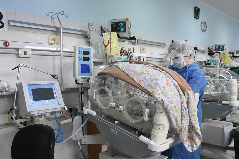 317560_resize-of-gus_2161