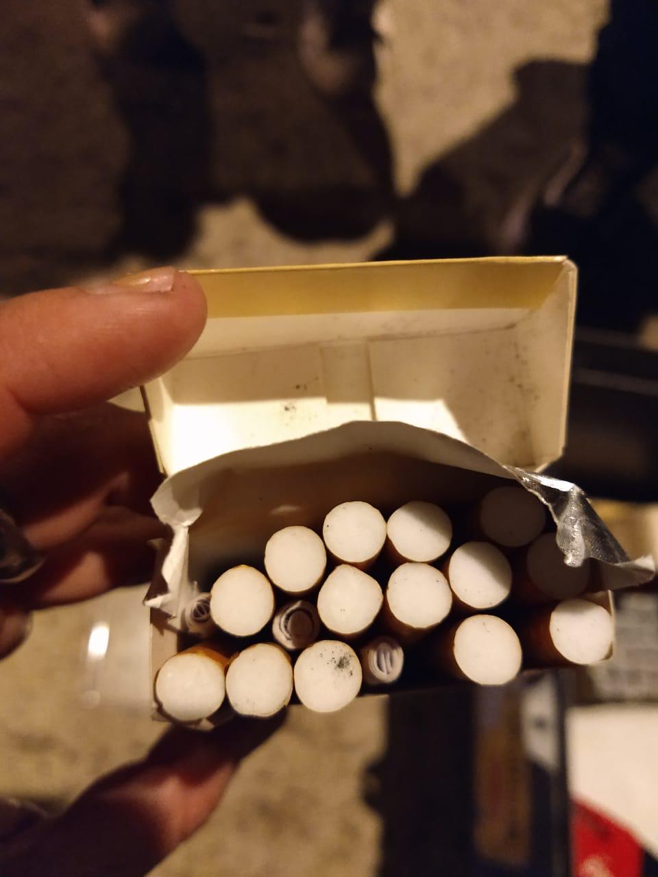 1fcef69f-d2b4-4b19-afbf-ab95343eb79e