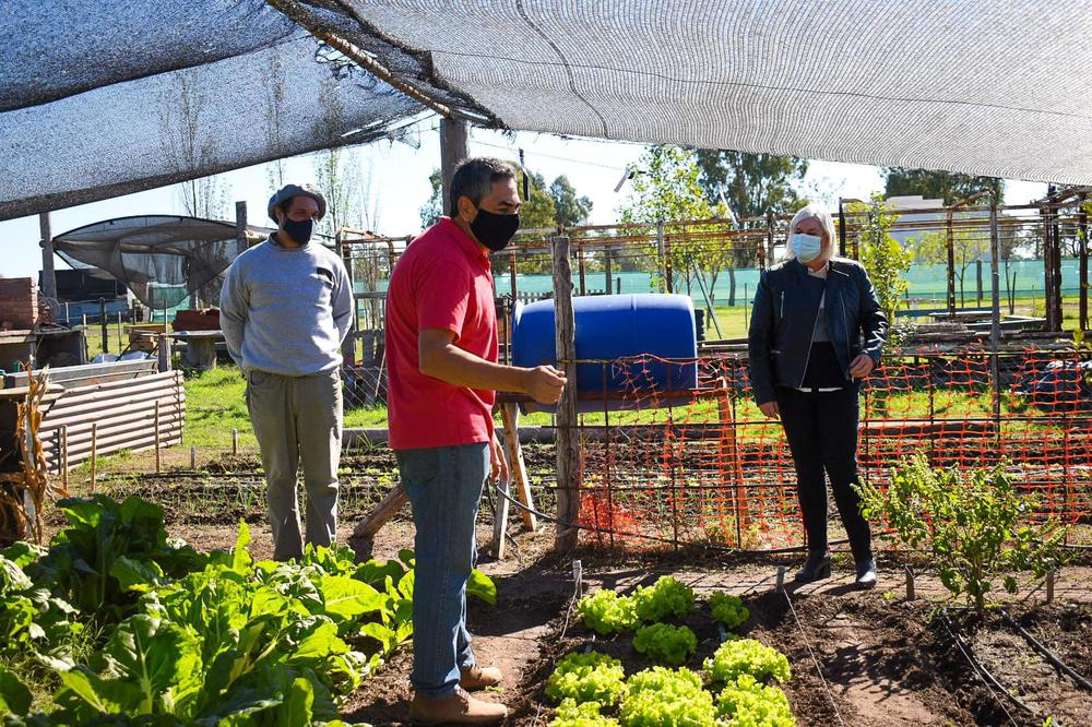 Horticultores 3