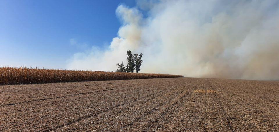 100063538_2921217777933629_9028336141719306240_o