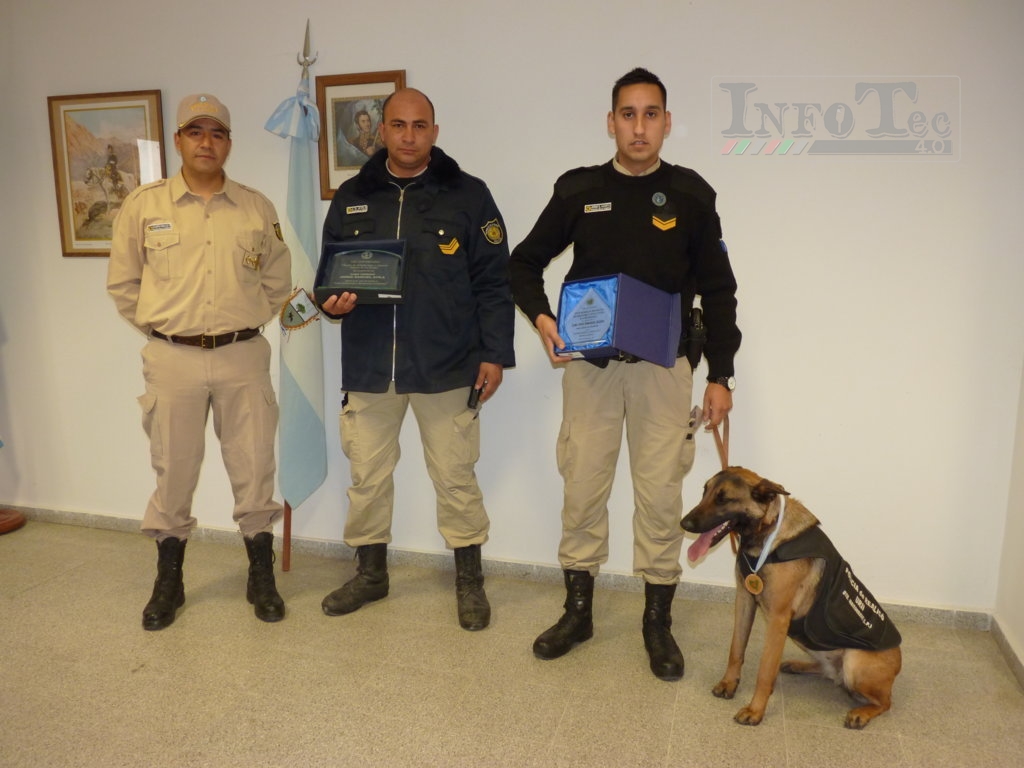 P1260321 (FILEminimizer)E