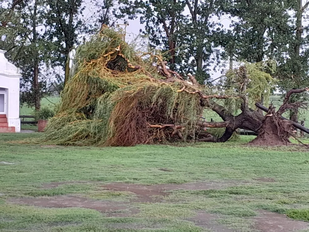 414324396_7366286450049630_3937664876061759086_n