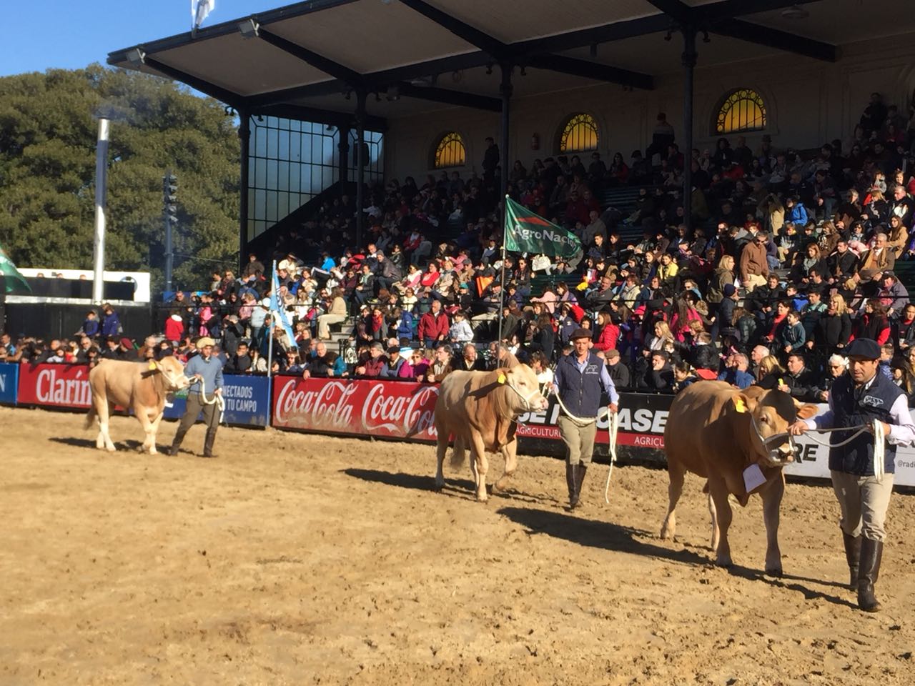 5a4d8ad4-bba5-4972-b215-674e553f2edd