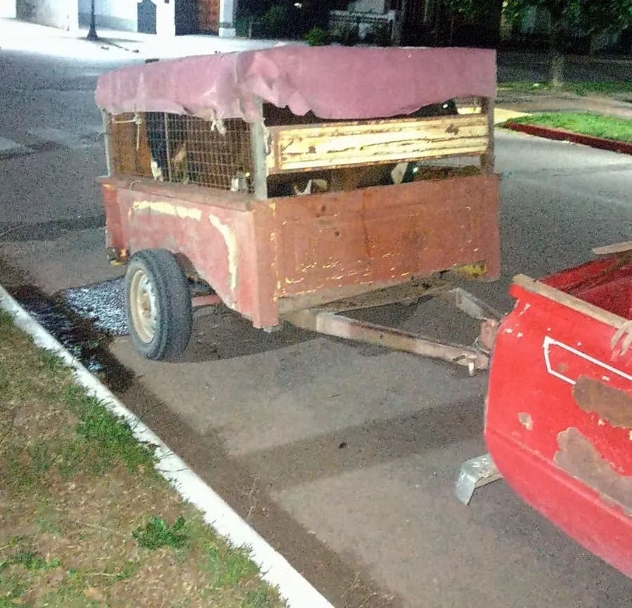 carro terneros 2 (FILEminimizer)