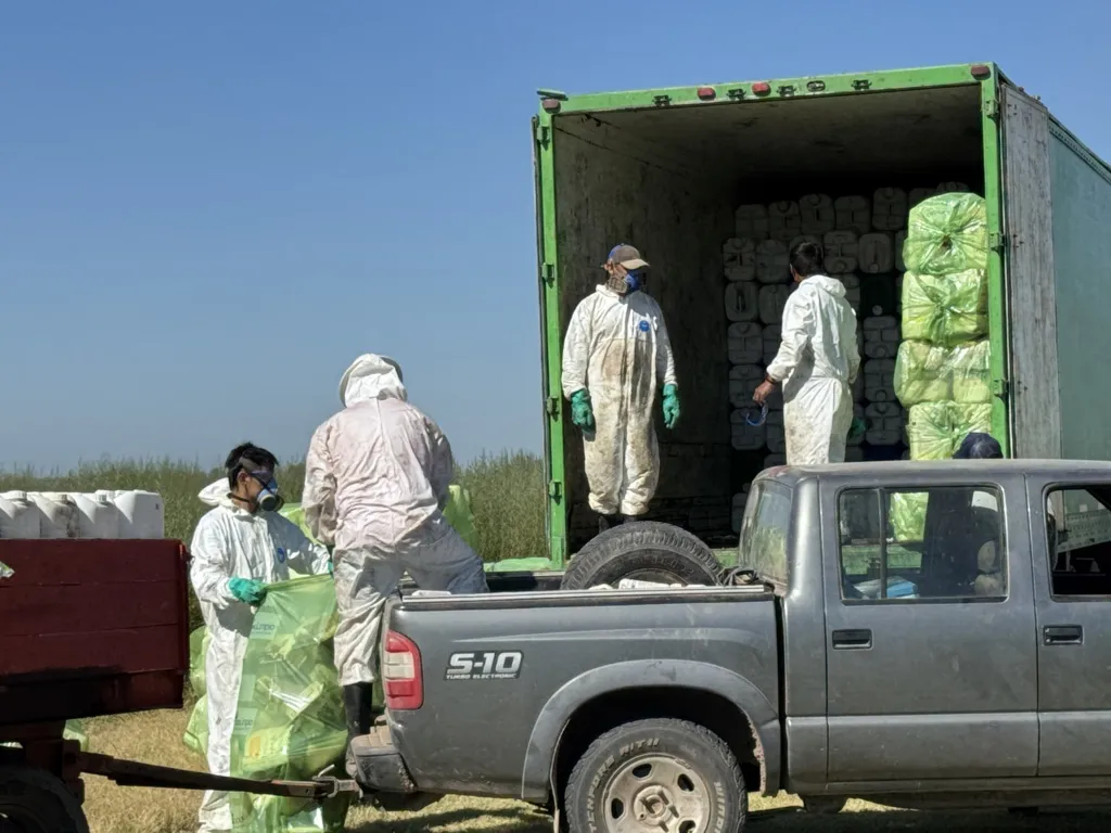 campo limpio envases 7 FILE