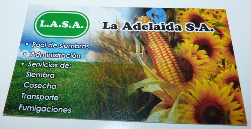 P1360825 (FILEminimizer)