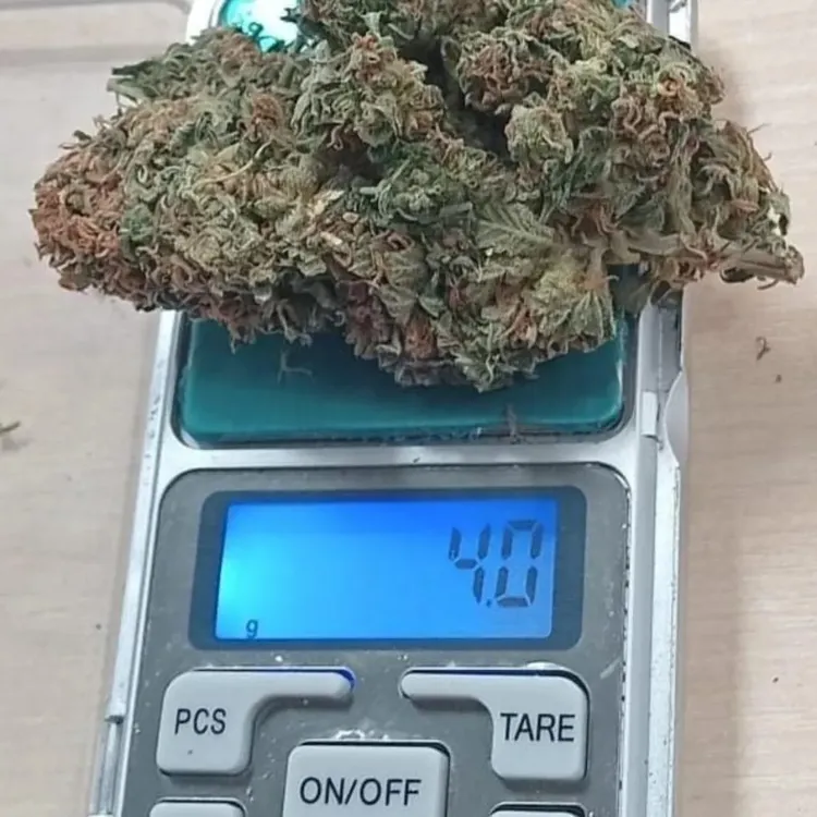 DROGAS 2