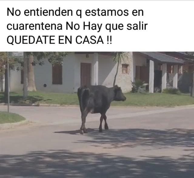 1133b362-e44c-416c-9440-1d7bbb72de27