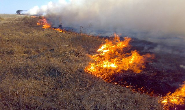 Incendio-campo