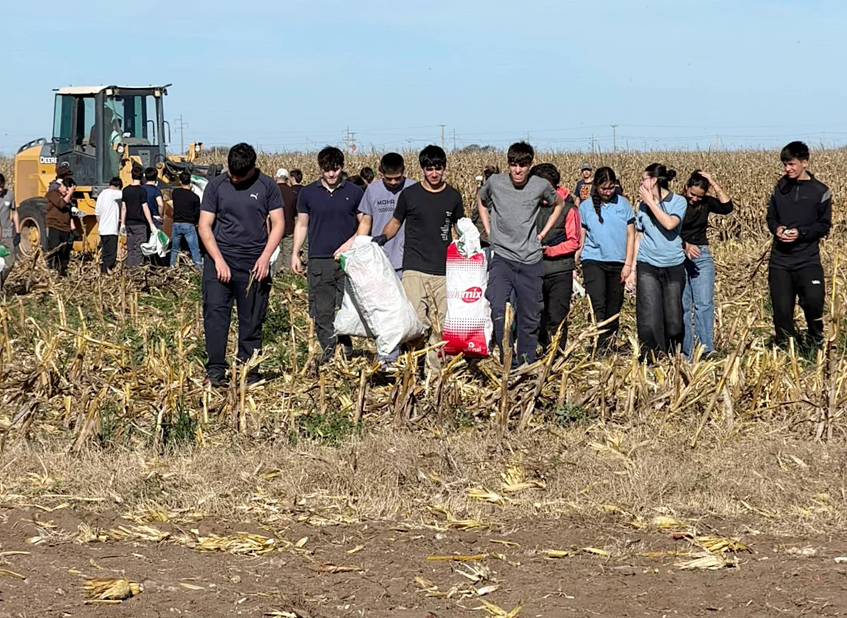chocleada 2026 12