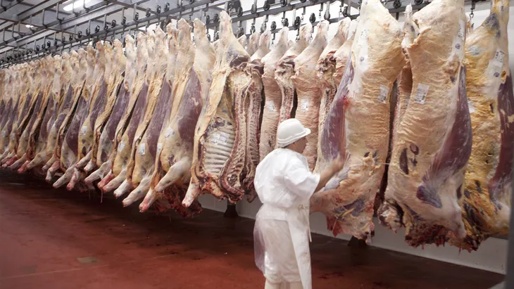 carne-frigorificocopy_2jpg