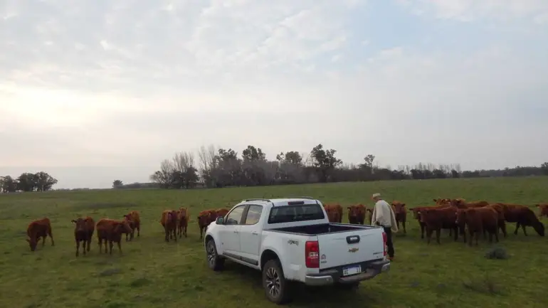 camioneta campo