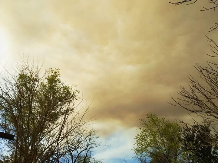 FB_IMG_1568744609861