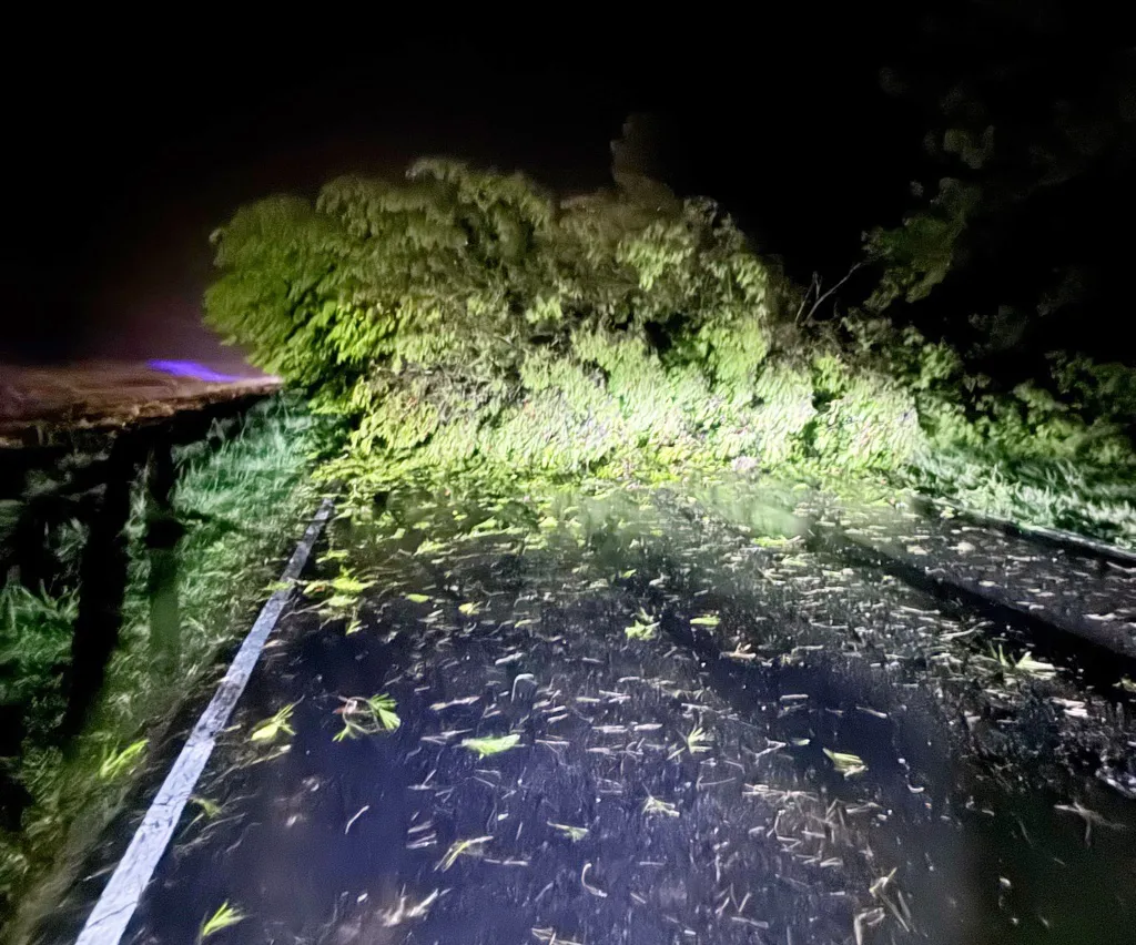 tormenta alvear 3 FILE