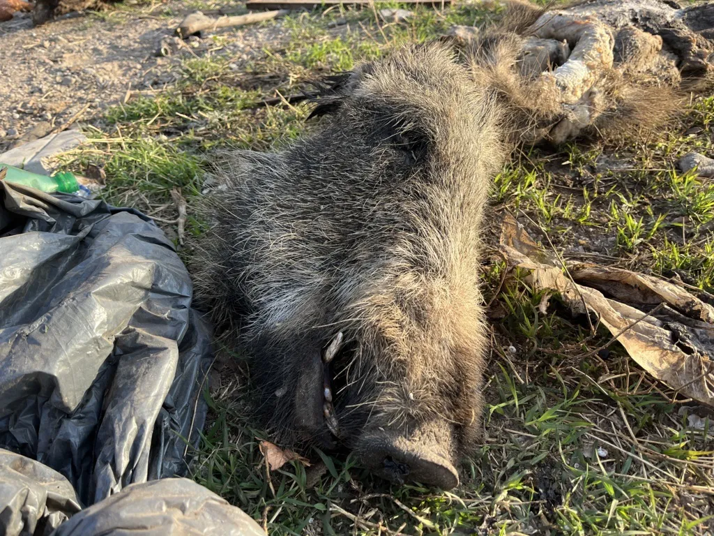 basurero ramas humo 6 (FILEminimizer)