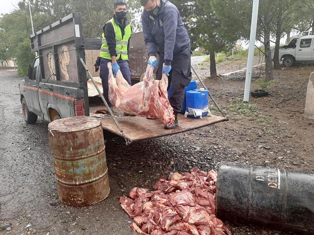 carne clandestina 3