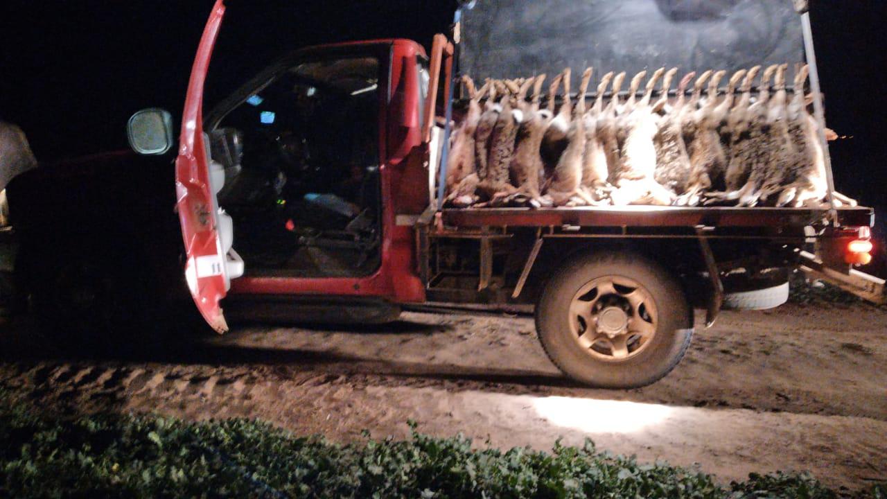 cbf8ef36-ef7d-42e6-accc-36d31074143e