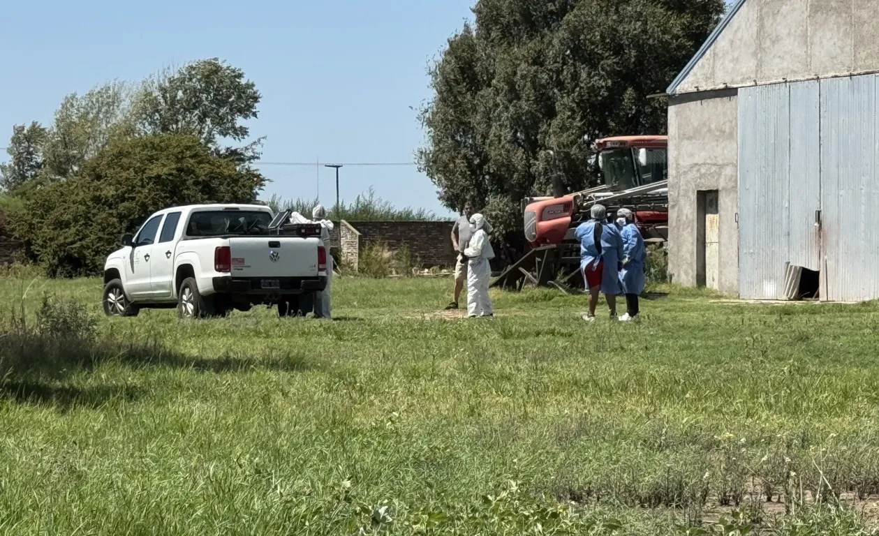 cortachapas taller AIC 5 FILE