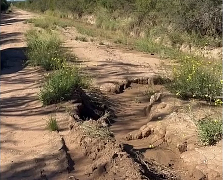 luan toro camino vecinal 1