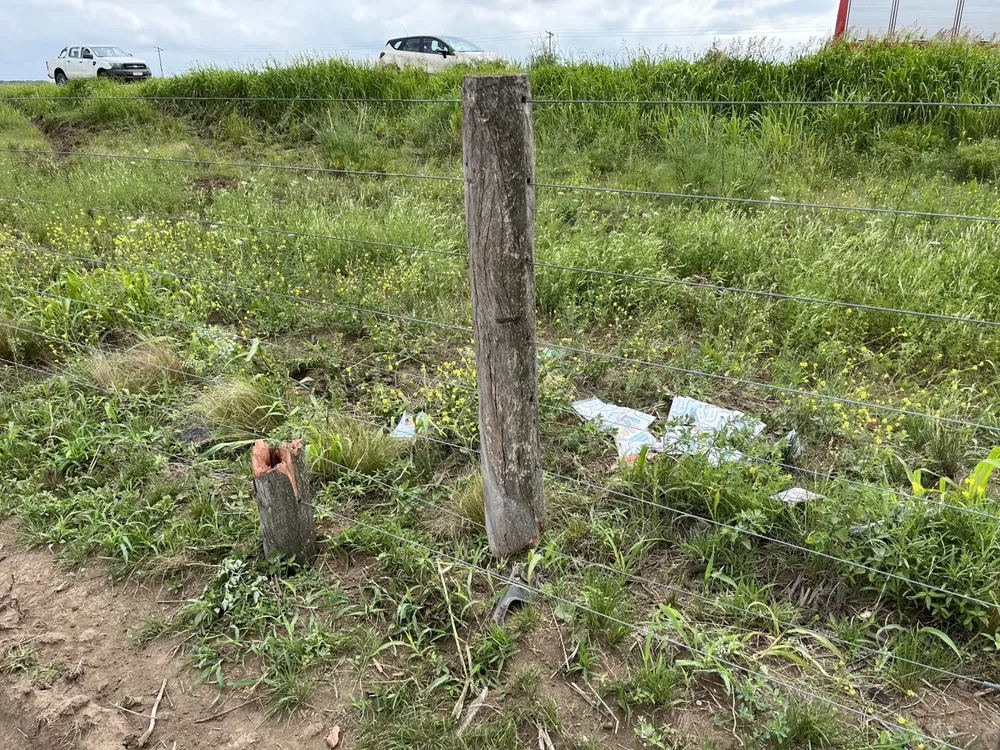 vuelco canonero 8 (FILEminimizer)