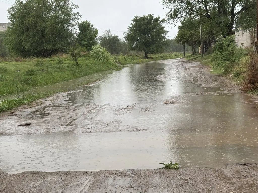 IMG_8391 (FILEminimizer)