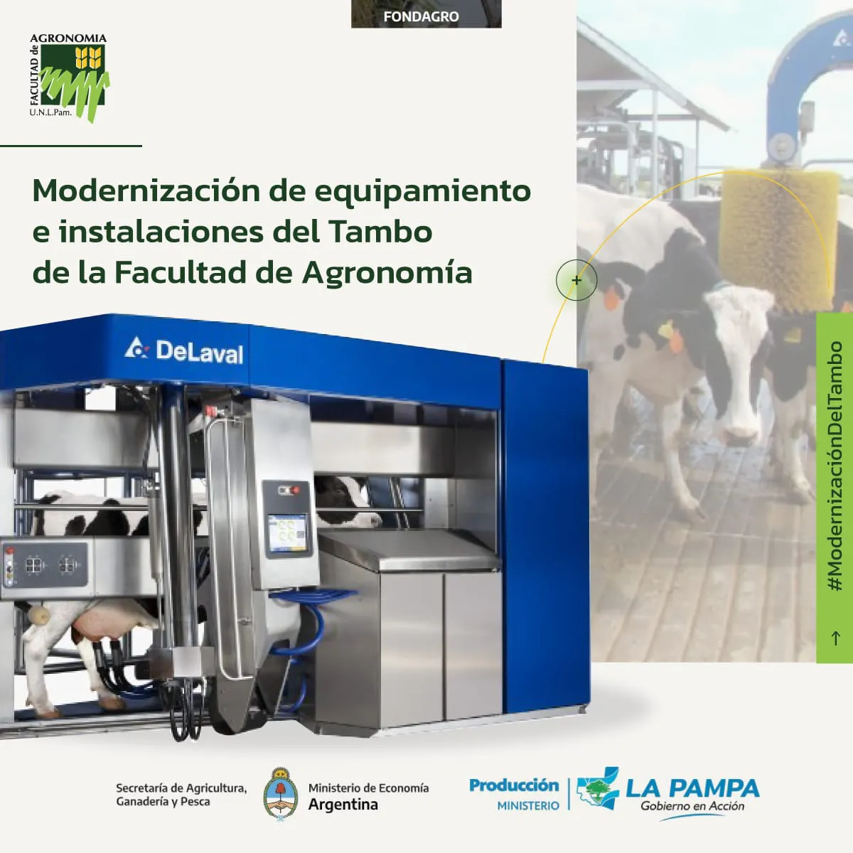 132034_whatsapp-image-2023-11-14-at-15.40.54