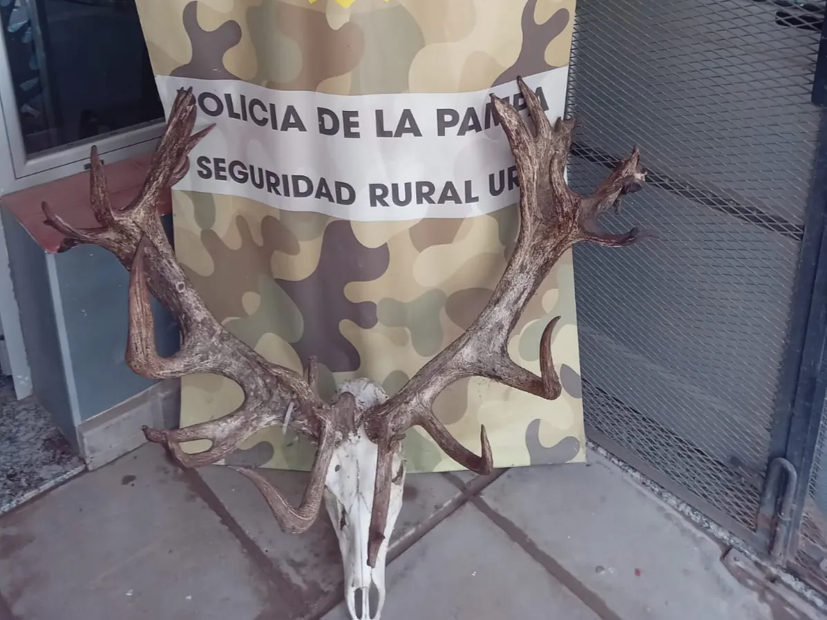 540956_20230511_105041