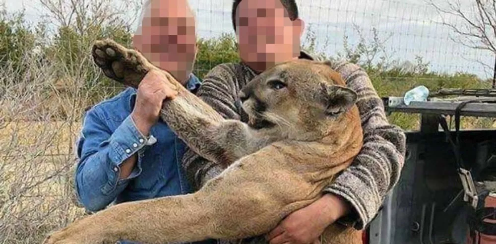 cazadores-con-un-puma-muerto