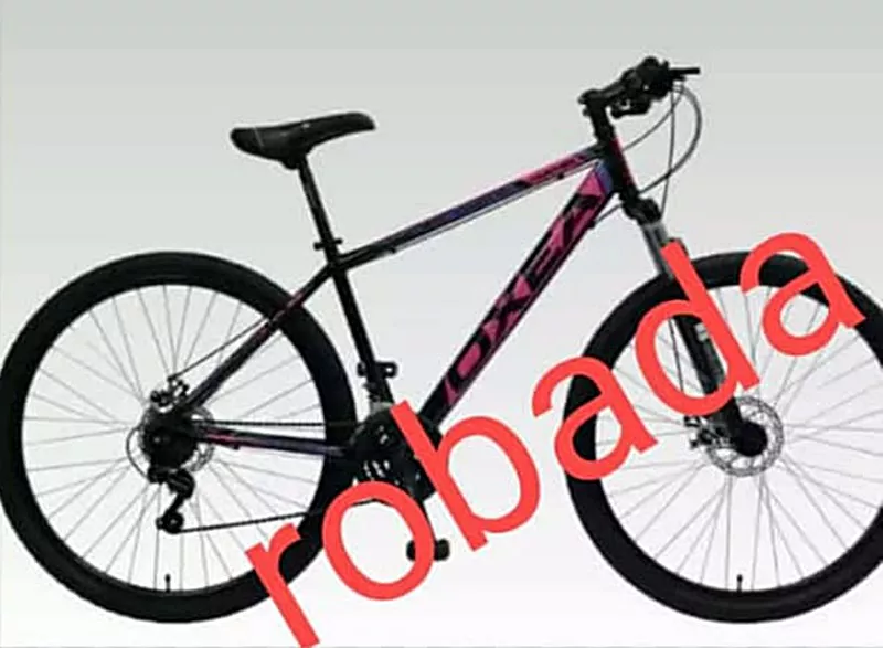 bici robada