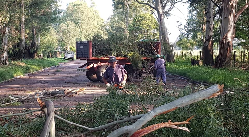 TORMENTA MAISONNAVE 1