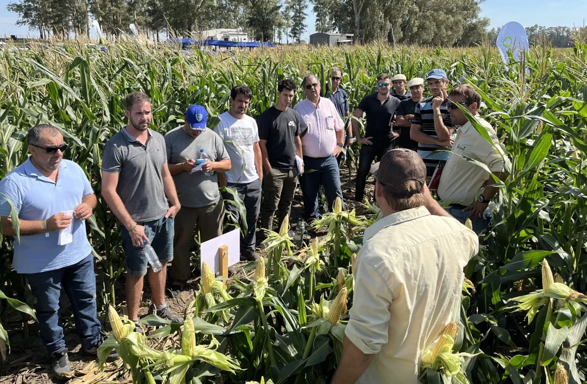 agronehuen 9 (FILEminimizer)