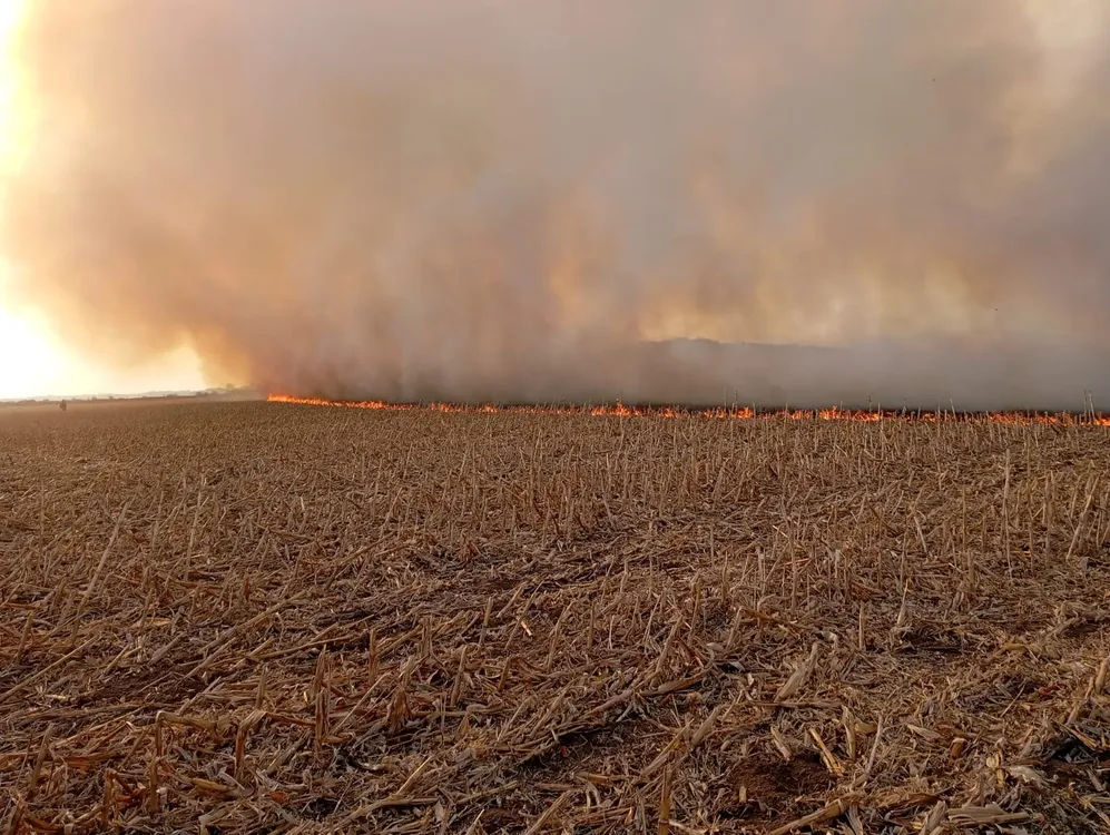 INCNEDIO RASTROJO MAIZ 2