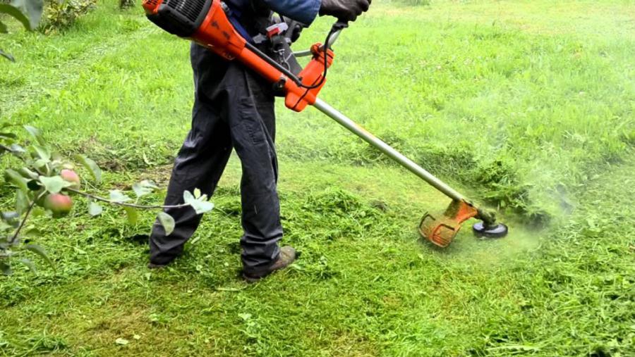 Corte de pasto desmalezado trabajo