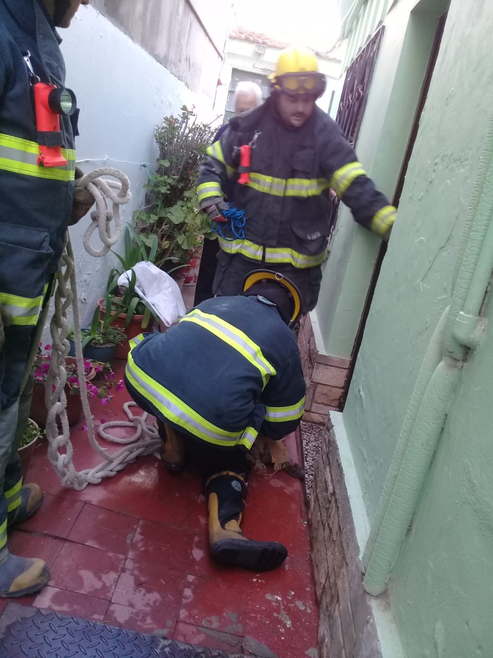 IMG-20191031-WA0153