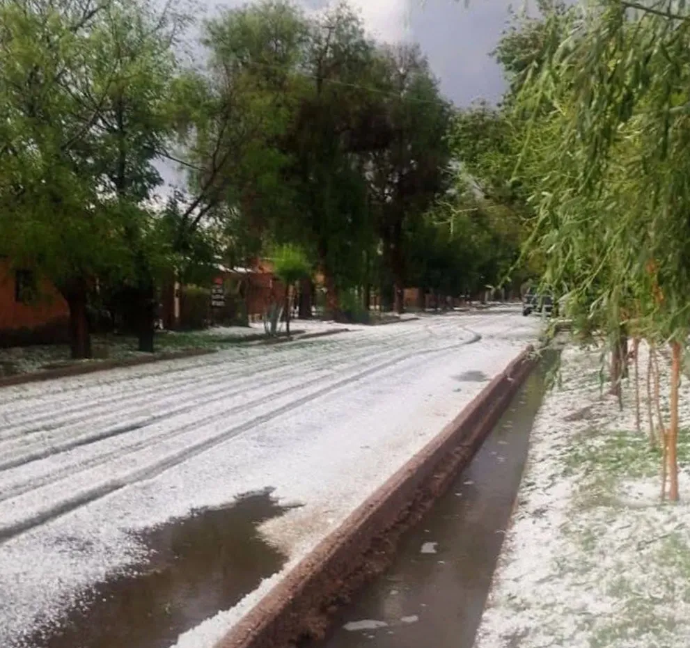 granizo mendoza 1