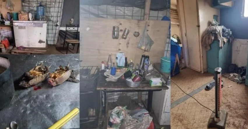 criadero de cerdos Relmo