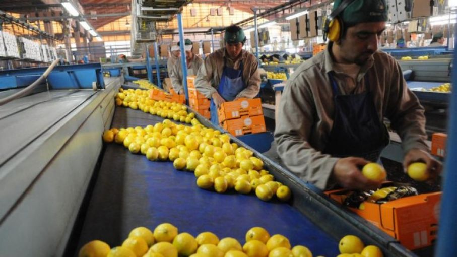limones