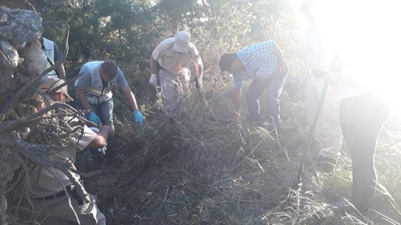 f800x450-69898_121344_5