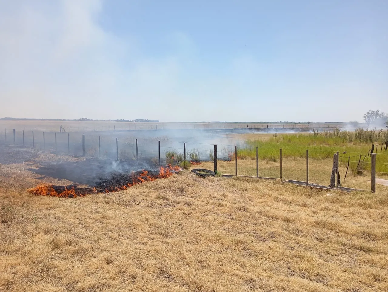 incendio campo veliz 2