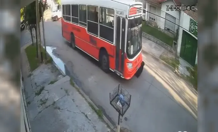 micro atropella a un perro