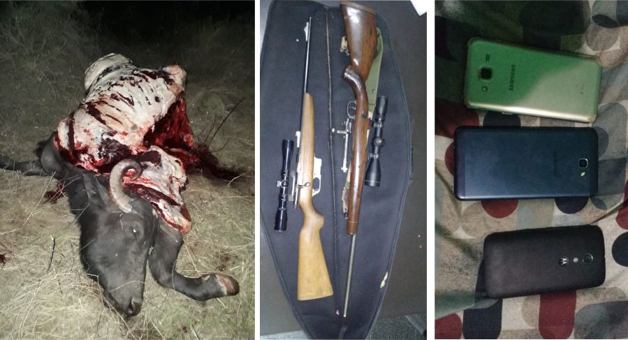 multimedia.normal.86f72634b64d2a24.616c6c616e6d6563616e6e5f6e6f726d616c2e6a7067