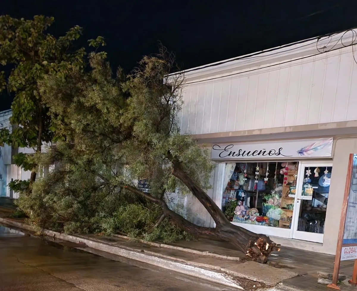 a87fcaa6-11bf-490a-852a-68da75b67578